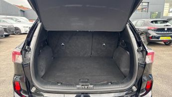 Ford Kuga 2.0 EcoBlue 190 ST-Line X Edition 5dr Auto AWD (Opening Sunroof)