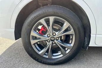 FORD KUGA 1.5 EcoBlue ST-Line Edition SUV 5dr Diesel Auto Euro 6 (s/s) (12