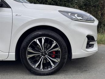 Ford Kuga ST-LINE X ECOBLUE