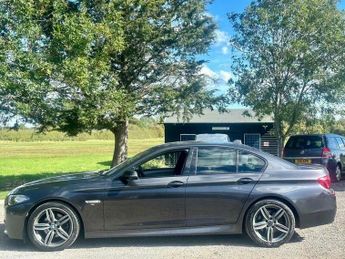 BMW 520 2.0 520d M Sport Auto Euro 6 (s/s) 4dr