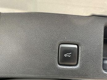 Ford Kuga ST-LINE X EDITION