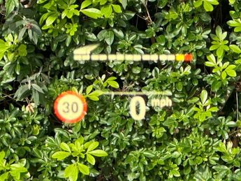 BMW 3 SERIES 320i M SPORT