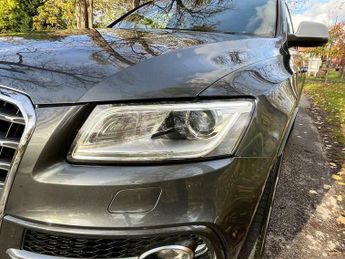 Audi SQ5 3.0 BiTDI V6 SUV 5dr Diesel Tiptronic quattro Euro 5 (s/s) (313 