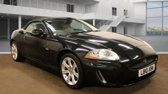 Jaguar XK XK Convertible