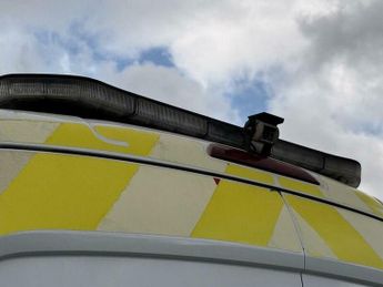 Ford Transit 2.0 350 EcoBlue Trend RWD L3 H2 Euro 6 (s/s) 5dr