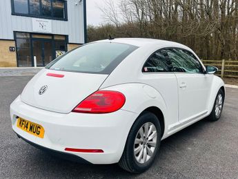 Volkswagen Beetle 