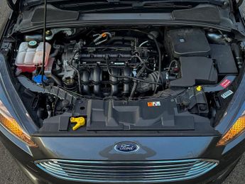 Ford Focus 1.6 Titanium Powershift 123 Bhp | MOT till Apr 2027 _ 3 Keepers 