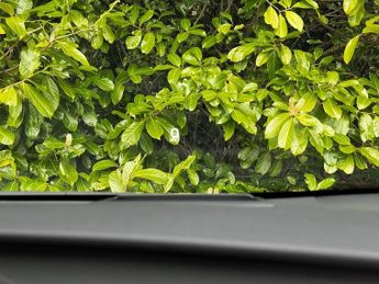 Toyota Prius 1.8 VVT-h GPF Business Edition Plus Hatchback 5dr Petrol Hybrid 