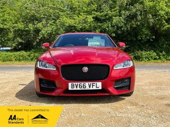 Jaguar XF D R-SPORT