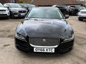 Jaguar XE PORTFOLIO