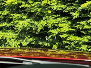 BMW 3 SERIES 335d XDRIVE M SPORT SHADOW EDITION