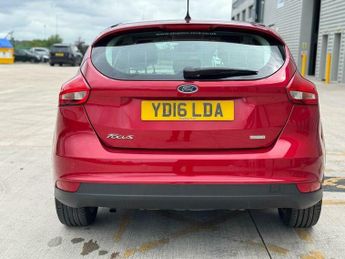 Ford Focus 1.0T EcoBoost Titanium Euro 6 (s/s) 5dr