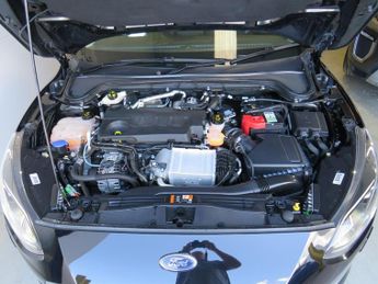Ford Focus VIGNALE ECOBLUE