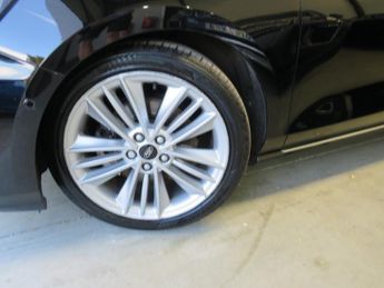Ford Focus VIGNALE ECOBLUE