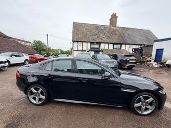 Jaguar XE D R-SPORT