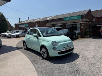 Fiat 500 LOUNGE FANTASTIC VALUE, CHEAP INSURANCE, GREAT CONDITION cheap t