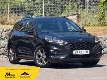 Ford Kuga 2.0 EcoBlue MHEV ST-Line Euro 6 5dr