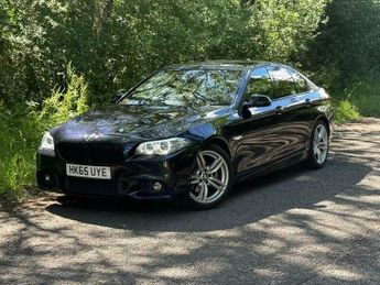 BMW 5 Series 2.0 520d M Sport Auto Euro 6 (s/s) 4dr