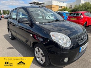 Kia Picanto DOMINO