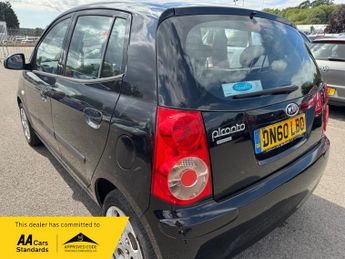 Kia Picanto DOMINO