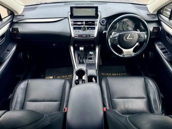 Lexus NX 300H LUXURY