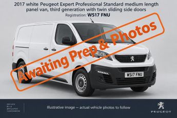 Peugeot Expert BLUE HDI PROFESSIONAL STANDARD
