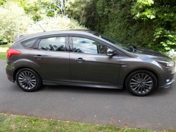 Ford Focus 1.5T EcoBoost ST-Line Hatchback 5dr Petrol Auto Euro 6 (s/s) (15