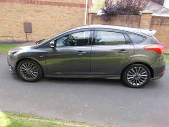 Ford Focus 1.5T EcoBoost ST-Line Hatchback 5dr Petrol Auto Euro 6 (s/s) (15