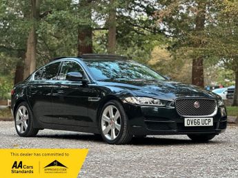 Jaguar XE PORTFOLIO