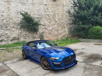 Ford Mustang 3.7L V6 GT 500 SHELBY BODY KIT LHD USA