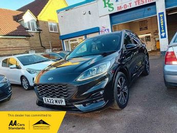 Ford Kuga 2.5h Duratec ST-Line X Edition CVT Euro 6 (s/s) 5dr