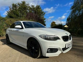 BMW 218 2.0 218d M Sport Euro 6 (s/s) 2dr