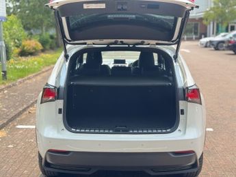 Lexus NX 300H F SPORT