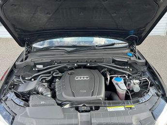 Audi Q5 2.0 TDI S line Plus SUV 5dr Diesel S Tronic quattro Euro 5 (s/s)