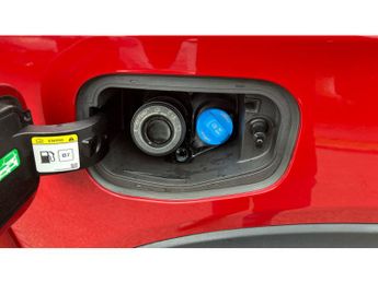 Ford Ranger Diesel Pick Up Double Cab Wildtrak 2.0 EcoBlue 205 Auto