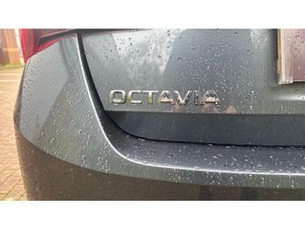 Skoda Octavia 2.0 TDI 150 SE L First Edition 5dr DSG Diesel Hatchback