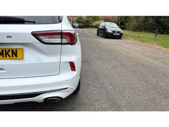 Ford Kuga 2.0 EcoBlue 190 ST-Line Edition 5dr Auto AWD Diesel Estate